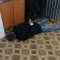 Полицейские Татарстана ликвидировали нарколабораторию, обосновавшуюся в ангаре